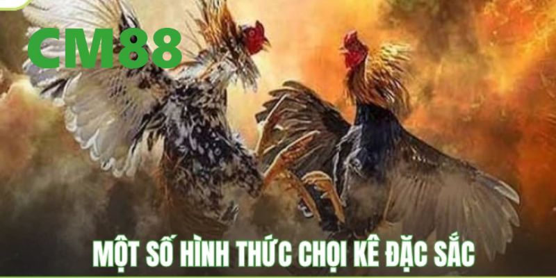 Đá Gà CM88 – Đấu Trường Chiến Kê Đắng Cấp, Hấp Dẫn Nhất 2026 3 Các loại hình cá cược đá gà CM88 được yêu thích nhất 2026
