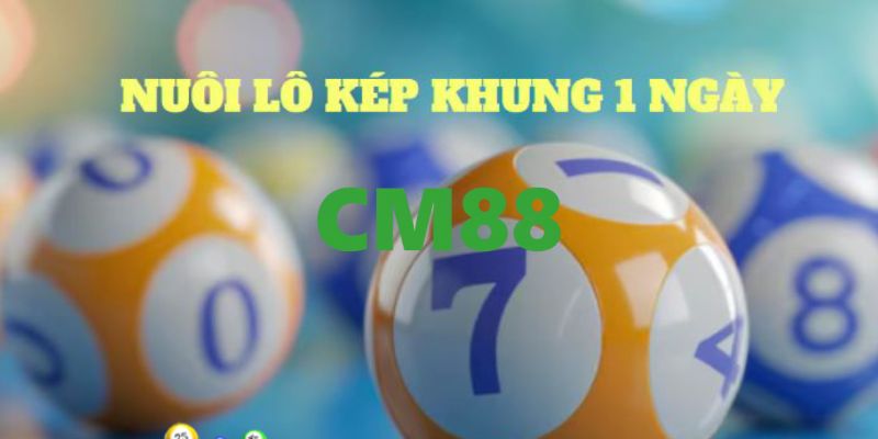 Nuôi Lô Kép Khung 1 Ngày Bất Bại Dành Cho Người Mới 4 Lô kép khung 1 ngày